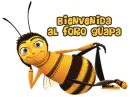 Bienvenida al foro