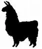Llama