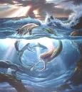 mermaid and dolphins