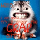 creepy cat
