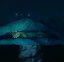  Med.cat at the Moonpool
