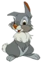 tambor