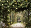 Tuscan Garden