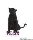 Felix
