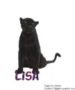 Lisa