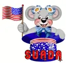 suada