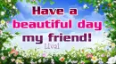 Have a beautiful day my friend!