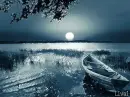 Beautiful moonlight 