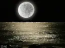 Beautiful moonlight 