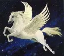 pegasus