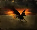 black pegasus