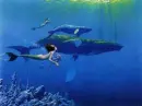 mermaid and whales