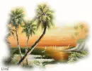 Beautiful Sunset