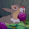 | Thumper! |