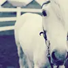 Don't Leave Me