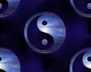 Ying - Yang