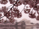 Washington 