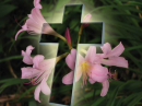 Easter