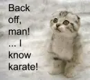 cat