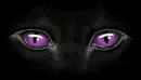 Cat eyes
