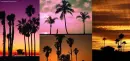 Paradise