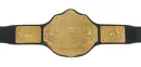 world title