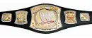 wwe title