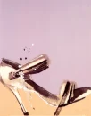 Shoe
