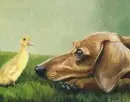 dachshund