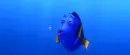 nemo