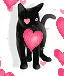 meows of love