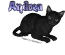 Black Cat - Andrea
