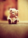Lonely Teddy