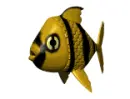 tropical fish