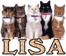 Cats Galore Lisa