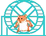 hamster wheel