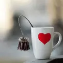 dried heart