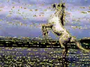 Sparkly Horse