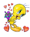 Piolin