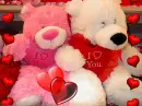 Love Bears All