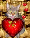 MeoWsers