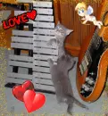 Musicians Heart