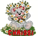 chrissi