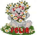pelia