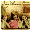 Mayflowers for LUCY
