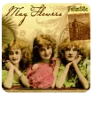 Mayflowers for PELIA