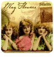 Mayflowers for LISA