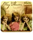 Mayflowers for ELIA