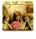Mayflowers for CHRISSI