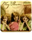 Mayflowers for DAISY
